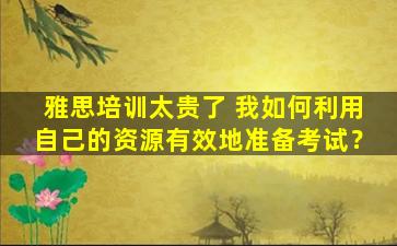 雅思培训太贵了 我如何利用自己的资源有效地准备考试？